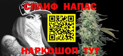 прущие крисы Будённовск