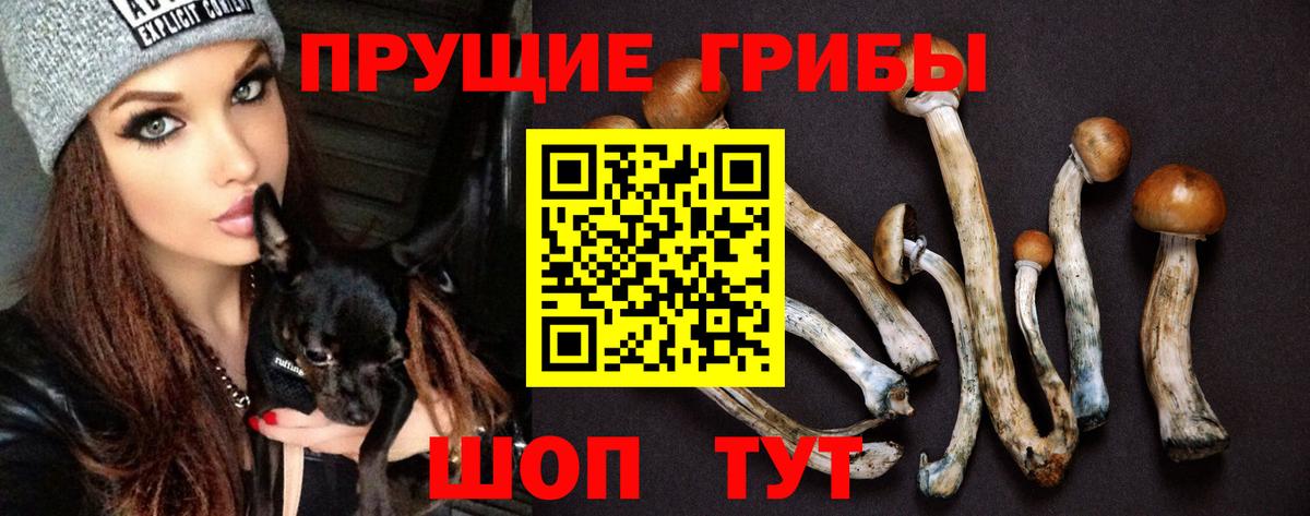 Галлюциногенные грибы GOLDEN TEACHER Сегежа