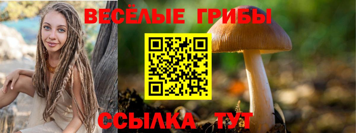 Сегежа  Галлюциногенные грибы прущие грибы  хочу наркоту  Вход с VPN 